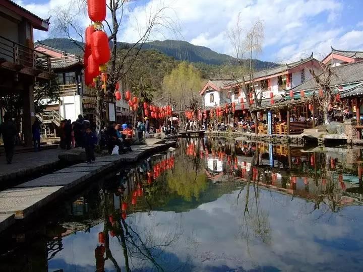 无休止的树
